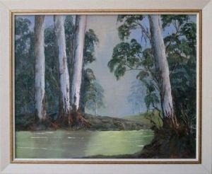 "Port Elizabeth Blue gums"