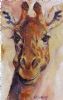 "Giraffe Portrait"