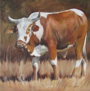 "Nguni 44"