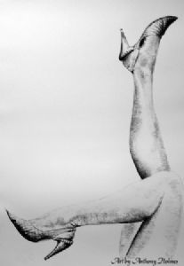 "Hands,Legs,Feet and shoes"