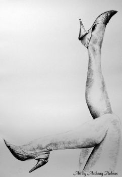 "Hands,Legs,Feet and shoes"