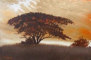 "African Sunset"