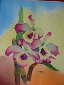 "Orchids"