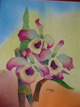 "Orchids"