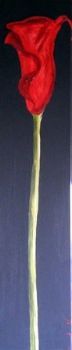 "Red Arum Lilly"