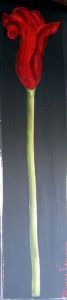 "Red Arum Lilly"