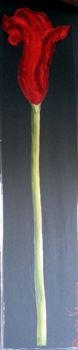 "Red Arum Lilly"