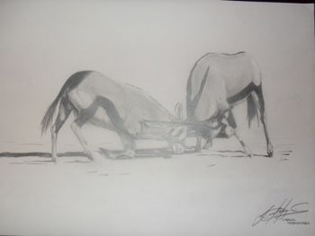 "Gemsbok"