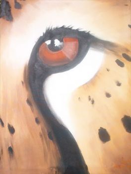 "Cheetah Eye"
