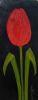 "Lonely tulip"