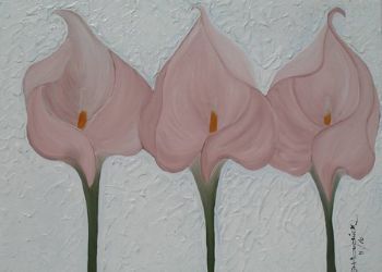 "Lovely pink lillies"