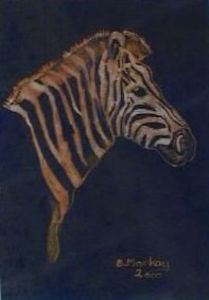 "Zebra"