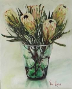 "White Proteas"