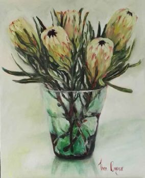 "White Proteas"