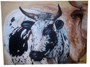 "Nguni 4"