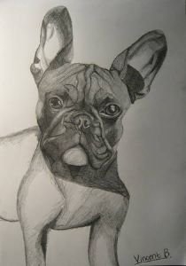 "French Bulldog"