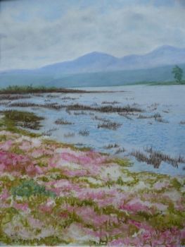 "Wildflowers Swartvlei"