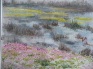"Vlei Flowers"