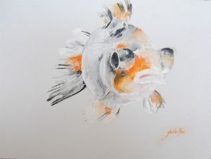 "Jade's Goldfish"