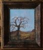 "Dry Tree in the Lowveldt"