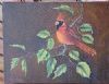 "Red Cardinal"