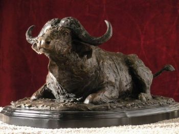 "Buffalo (No Longer Available)"