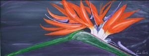 "Windy Strelitzia 1"