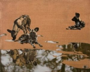 "Wild Dogs on Red Earth"