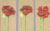 "Triptych: Three Poppies"