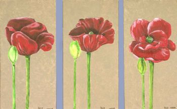 "Triptych: Three Poppies"