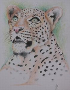 "The Piercing Leopard"