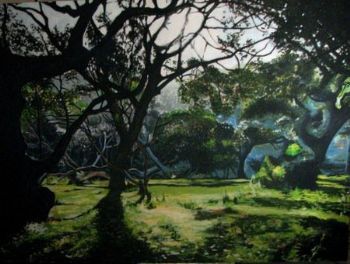 "Green Hole in the Wall Forest"