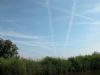 "Dutch Sky"