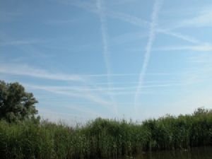 "Dutch Sky"
