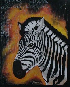 "Zebra"