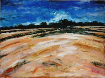"Sand Dune"