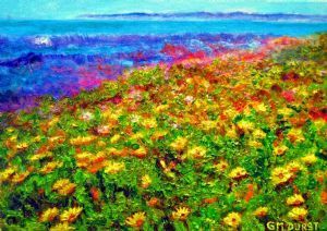 "Cape Spring"