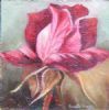 "Red Rose Bud"