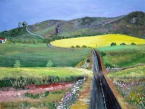 "Canola Field in Countryside"