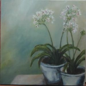 "Agapanthus Green"