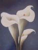 "arum lilies"