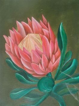 "protea"
