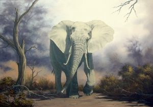 "Savuti Elephant"