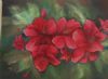 "Azaleas"