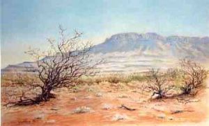 "The Karoo, a Thirstland "