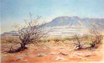 "The Karoo, a Thirstland "