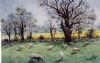 "Sheep in the Meadow"
