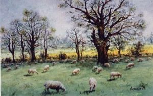 "Sheep in the Meadow"