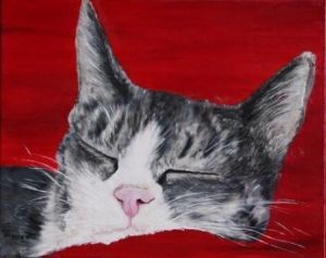 "Paul the cat"
