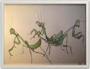 "Praying Mantis"